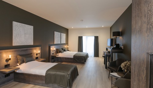 Business Room, 1 Queen Bed