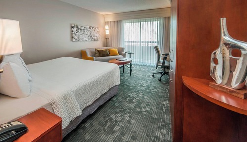 Room, 1 King Bed with Sofa bed (Mobility/Hearing Access, Roll-In Shwr)