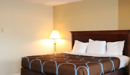 Room, 1 King Bed