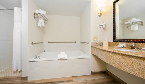 Suite, 1 King Bed, Accessible (Mobility & Hearing, Roll-in Shower)