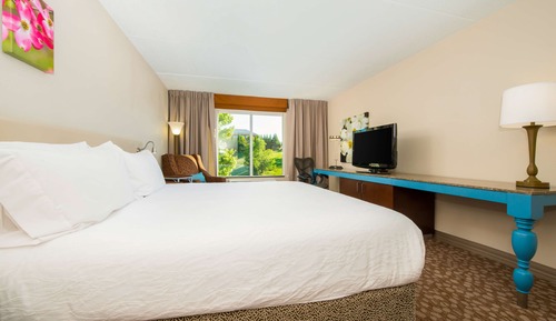 Room, 1 King Bed (Drinks & Snacks)