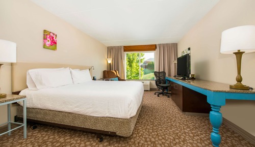Room, 1 King Bed