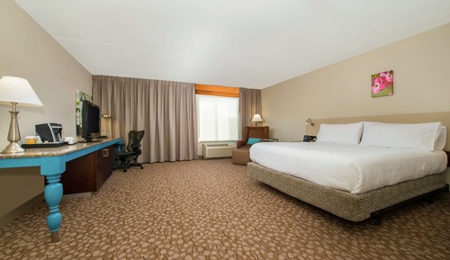 Room, 1 King Bed, Accessible, Bathtub (Mobility & Hearing)