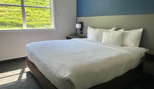 Standard Room, 1 King Bed, Non Smoking