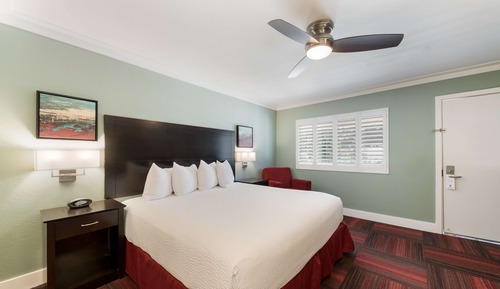 Standard Room, 1 King Bed, Non Smoking, Refrigerator