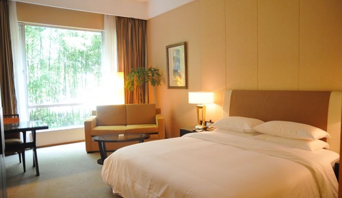 Business Room, Garden View