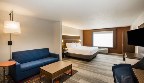 Suite, 1 King Bed with Sofa bed