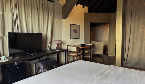 Suite, 1 Queen Bed