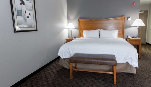 Studio Suite, 1 King Bed with Sofa bed