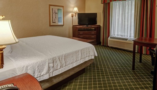 Room, 1 King Bed, Non Smoking