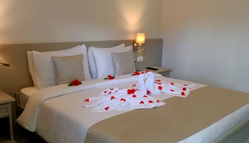Superior Room, Garden View