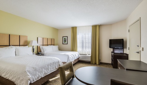 Studio Suite, 2 Double Beds