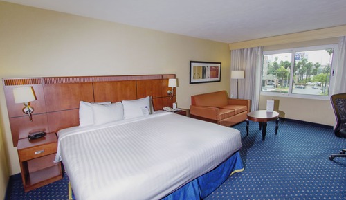 Deluxe Room, 1 King Bed with Sofa bed, Non Smoking