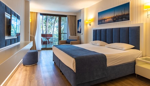 Comfort Standart Room Land View