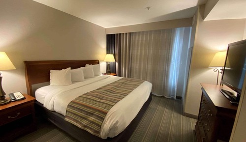 Studio Suite, 1 King Bed with Sofa bed, Non Smoking