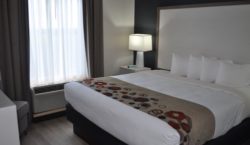 Suite, 1 King Bed, Non Smoking, Microwave