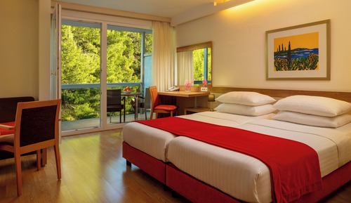 Premium Twin Room, Balcony, Park View