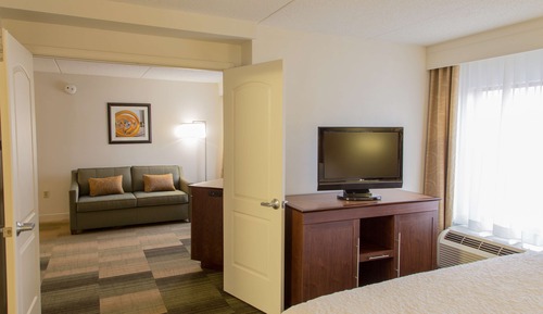Room, 1 King Bed, Accessible, Non Smoking (Roll-in Shower)