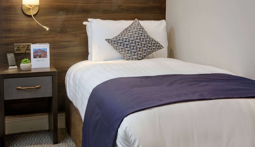 Room, Non Smoking (1 Single Bed)