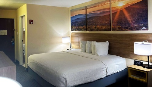 Standard Room, 1 King Bed, Non Smoking