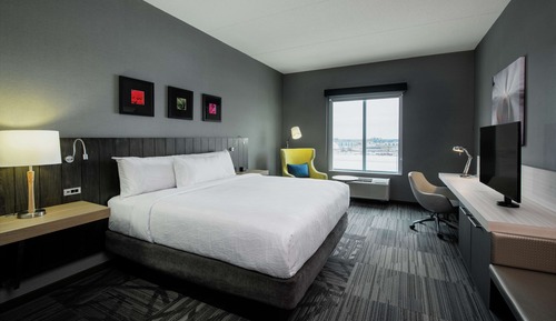 Room, 1 King Bed