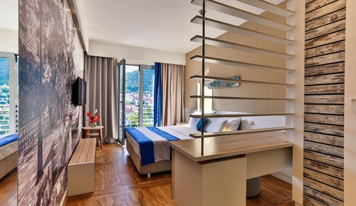 Double or Twin Room, Mountain View