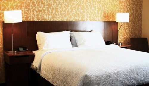 Room, 1 King Bed, Non Smoking (Mobility/Hearing Access, Roll-in Shwr)