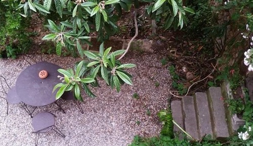 Superior Double Room, Garden View (et montagne RDC)