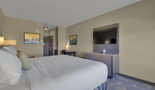 Standard Room, 1 King Bed, Non Smoking, Microwave