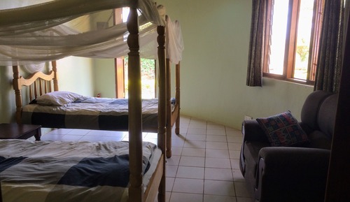 Deluxe Double or Twin Room, Pool View