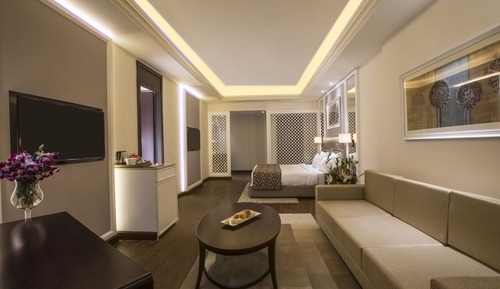 Junior Suite, 1 Double Bed