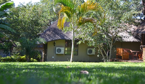 Traditional Single Room, 1 Bedroom, Accessible, Courtyard View