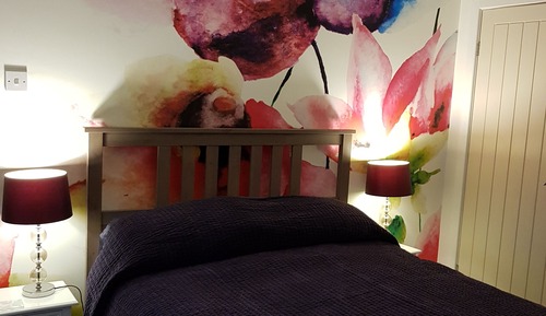 Double Room Single Use