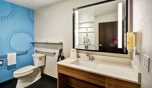 Room, 1 King Bed, Accessible (Roll-In Shower)