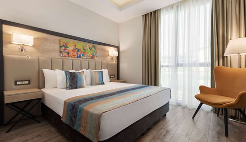 Room, 1 Double Bed, Accessible, Non Smoking (Mobility)