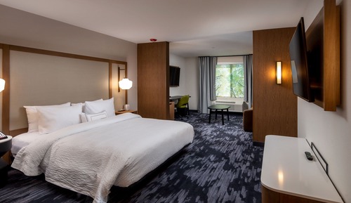 Suite, 1 King Bed with Sofa bed, Non Smoking (Mobility/Hearing Access, Roll-In Shwr)