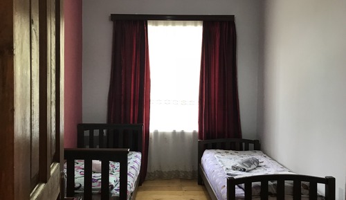 Basic Twin Room