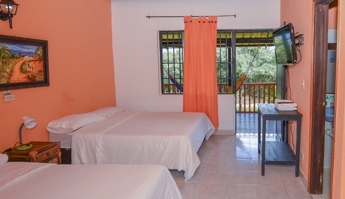 Standard Room, Mountain View