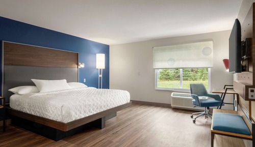 Room, 1 King Bed, Accessible (Roll-In Shower)