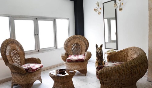 Basic Apartment