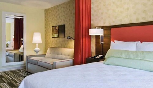 Studio, 1 King Bed, Accessible (Roll-In Shower)