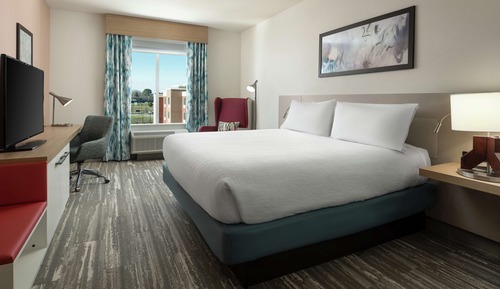 Room, 1 King Bed, Accessible, Bathtub