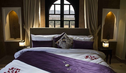 Comfort Suite