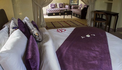 Comfort Suite