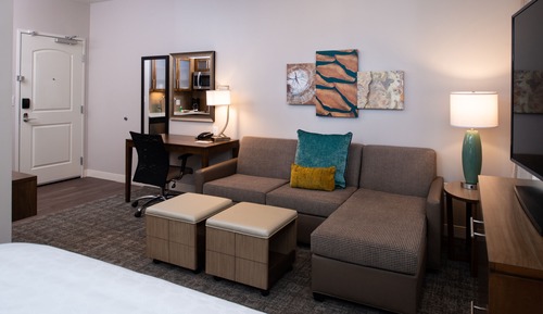 Studio Suite, 1 King Bed (Walk-In Shower)