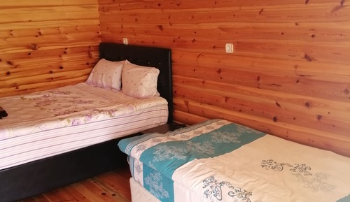 Deluxe Bungalow