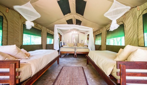 Luxury Tent, Multiple Beds