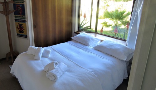 Suite, 1 King Bed