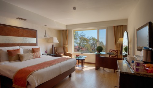 Executive Room, 1 Double Bed