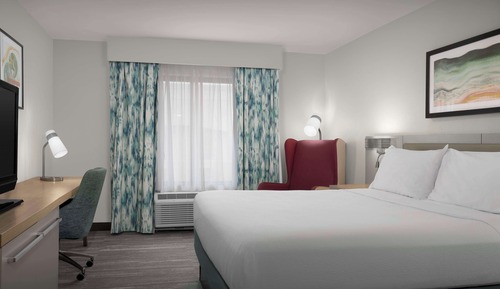 Room, 1 King, Accessible w/ Roll In Shower